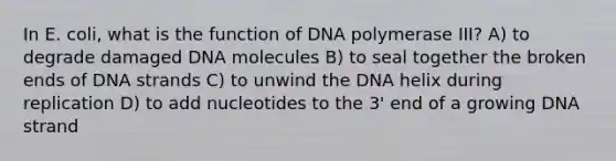 In E. coli, what is the function of DNA polymerase III? A) to degrade damaged DNA molecules B) to seal together the broken ends of DNA strands C) to unwind the DNA helix during replication D) to add nucleotides to the 3' end of a growing DNA strand