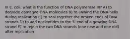 In E. coli, what is the function of DNA polymerase III? A) to degrade damaged DNA molecules B) to unwind the DNA helix during replication C) to seal together the broken ends of DNA strands D) to add nucleotides to the 3' end of a growing DNA strand E) to rejoin the two DNA strands (one new and one old) after replication