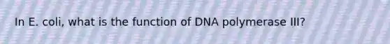 In E. coli, what is the function of DNA polymerase III?