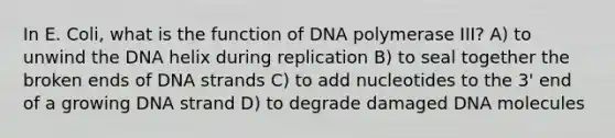 In E. Coli, what is the function of DNA polymerase III? A) to unwind the DNA helix during replication B) to seal together the broken ends of DNA strands C) to add nucleotides to the 3' end of a growing DNA strand D) to degrade damaged DNA molecules