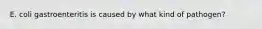 E. coli gastroenteritis is caused by what kind of pathogen?