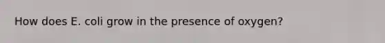 How does E. coli grow in the presence of oxygen?