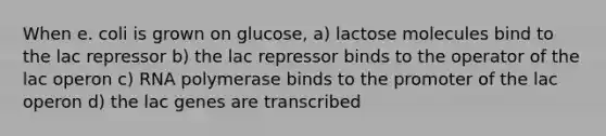 When e. coli is grown on glucose, a) lactose molecules bind to the lac repressor b) the lac repressor binds to the operator of the lac operon c) RNA polymerase binds to the promoter of the lac operon d) the lac genes are transcribed