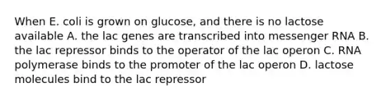 When E. coli is grown on glucose, and there is no lactose available A. the lac genes are transcribed into messenger RNA B. the lac repressor binds to the operator of the lac operon C. RNA polymerase binds to the promoter of the lac operon D. lactose molecules bind to the lac repressor