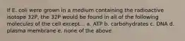 If E. coli were grown in a medium containing the radioactive isotope 32P, the 32P would be found in all of the following molecules of the cell except... a. ATP b. carbohydrates c. DNA d. plasma membrane e. none of the above