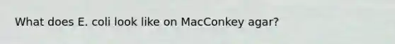 What does E. coli look like on MacConkey agar?