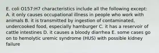 E. coli O157:H7 characteristics include all the following except: A. it only causes occupational illness in people who work with animals B. it is transmitted by ingestion of contaminated, undercooked food, especially hamburger C. it has a reservoir of cattle intestines D. it causes a bloody diarrhea E. some cases go on to hemolytic uremic syndrome (HUS) with possible kidney failure