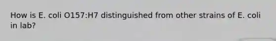 How is E. coli O157:H7 distinguished from other strains of E. coli in lab?