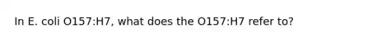 In E. coli O157:H7, what does the O157:H7 refer to?