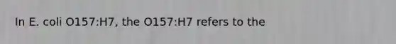 In E. coli O157:H7, the O157:H7 refers to the