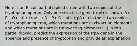 Here is an E. coli partial diploid strain with two copies of the tryptophan operon. Only one structural gene (trpA) is shown. R+ P− O+ att+ trpA+ / R− P+ O+ att- trpA+ i) In these two copies of tryptophan operon, which mutations are in cis-acting elements and which mutations are in trans-acting elements? ii) In this partial diploid, predict the expression of the trpA gene in the absence and presence of tryptophan and provide an explanation.