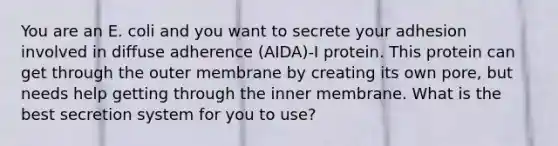 You are an E. coli and you want to secrete your adhesion involved in diffuse adherence (AIDA)-I protein. This protein can get through the outer membrane by creating its own pore, but needs help getting through the inner membrane. What is the best secretion system for you to use?