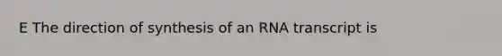 E The direction of synthesis of an RNA transcript is