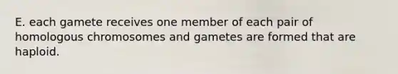 E. each gamete receives one member of each pair of homologous chromosomes and gametes are formed that are haploid.