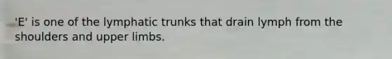 'E' is one of the lymphatic trunks that drain lymph from the shoulders and upper limbs.