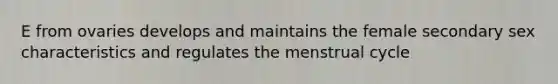 E from ovaries develops and maintains the female secondary sex characteristics and regulates the menstrual cycle