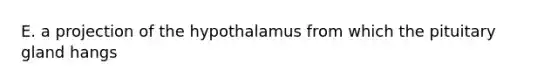 E. a projection of the hypothalamus from which the pituitary gland hangs