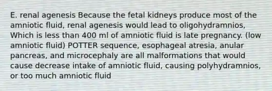 E. renal agenesis Because the fetal kidneys produce most of the amniotic fluid, renal agenesis would lead to oligohydramnios, Which is less than 400 ml of amniotic fluid is late pregnancy. (low amniotic fluid) POTTER sequence, esophageal atresia, anular pancreas, and microcephaly are all malformations that would cause decrease intake of amniotic fluid, causing polyhydramnios, or too much amniotic fluid