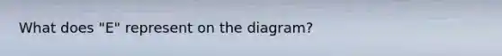 What does "E" represent on the diagram?
