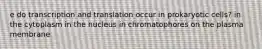 e do transcription and translation occur in prokaryotic cells? in the cytoplasm in the nucleus in chromatophores on the plasma membrane