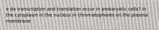 e do transcription and translation occur in prokaryotic cells? in the cytoplasm in the nucleus in chromatophores on the plasma membrane