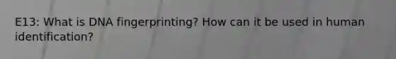 E13: What is DNA fingerprinting? How can it be used in human identification?