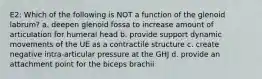 E2: Which of the following is NOT a function of the glenoid labrum? a. deepen glenoid fossa to increase amount of articulation for humeral head b. provide support dynamic movements of the UE as a contractile structure c. create negative intra-articular pressure at the GHJ d. provide an attachment point for the biceps brachii