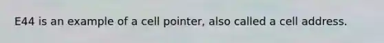 E44 is an example of a cell pointer, also called a cell address.