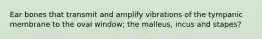 Ear bones that transmit and amplify vibrations of the tympanic membrane to the oval window; the malleus, incus and stapes?