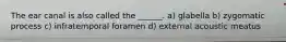 The ear canal is also called the ______. a) glabella b) zygomatic process c) infratemporal foramen d) external acoustic meatus