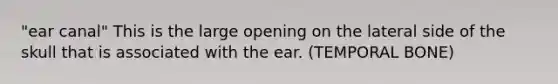 "ear canal" This is the large opening on the lateral side of the skull that is associated with the ear. (TEMPORAL BONE)