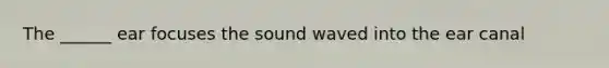 The ______ ear focuses the sound waved into the ear canal