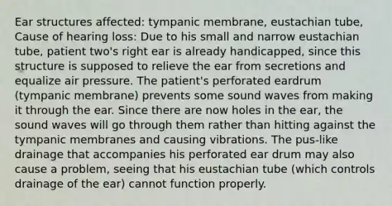 Ear structures affected: tympanic membrane, eustachian tube, Cause of hearing loss: Due to his small and narrow eustachian tube, patient two's right ear is already handicapped, since this structure is supposed to relieve the ear from secretions and equalize air pressure. The patient's perforated eardrum (tympanic membrane) prevents some sound waves from making it through the ear. Since there are now holes in the ear, the sound waves will go through them rather than hitting against the tympanic membranes and causing vibrations. The pus-like drainage that accompanies his perforated ear drum may also cause a problem, seeing that his eustachian tube (which controls drainage of the ear) cannot function properly.