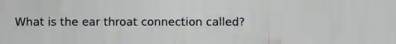 What is the ear throat connection called?