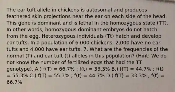 The ear tuft allele in chickens is autosomal and produces feathered skin projections near the ear on each side of the head. This gene is dominant and is lethal in the homozygous state (TT). In other words, homozygous dominant embryos do not hatch from the egg. Heterozygous individuals (Tt) hatch and develop ear tufts. In a population of 6,000 chickens, 2,000 have no ear tufts and 4,000 have ear tufts. 7. What are the frequencies of the normal (T) and ear tuft (t) alleles in this population? (Hint: We do not know the number of fertilized eggs that had the TT genotype). A.) f(T) = 66.7% ; f(t) = 33.3% B.) f(T) = 44.7% ; f(t) = 55.3% C.) f(T) = 55.3% ; f(t) = 44.7% D.) f(T) = 33.3% ; f(t) = 66.7%