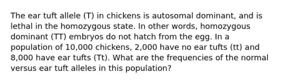 The ear tuft allele (T) in chickens is autosomal dominant, and is lethal in the homozygous state. In other words, homozygous dominant (TT) embryos do not hatch from the egg. In a population of 10,000 chickens, 2,000 have no ear tufts (tt) and 8,000 have ear tufts (Tt). What are the frequencies of the normal versus ear tuft alleles in this population?