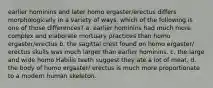 earlier hominins and later homo ergaster/erectus differs morphologically in a variety of ways. which of the following is one of those differences? a. earlier hominins had much more complex and elaborate mortuary practices than homo ergaster/erectus b. the sagittal crest found on homo ergaster/ erectus skulls was much larger than earlier hominins. c. the large and wide homo Habilis teeth suggest they ate a lot of meat. d. the body of homo ergaster/ erectus is much more proportionate to a modern human skeleton.