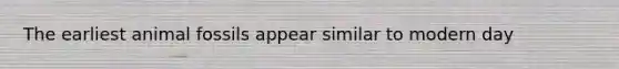 The earliest animal fossils appear similar to modern day