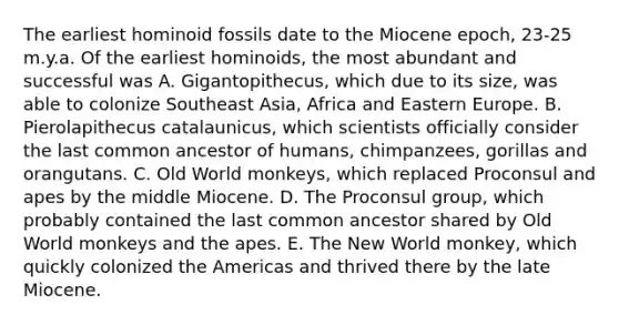 The earliest hominoid fossils date to the Miocene epoch, 23-25 m.y.a. Of the earliest hominoids, the most abundant and successful was A. Gigantopithecus, which due to its size, was able to colonize Southeast Asia, Africa and Eastern Europe. B. Pierolapithecus catalaunicus, which scientists officially consider the last common ancestor of humans, chimpanzees, gorillas and orangutans. C. Old World monkeys, which replaced Proconsul and apes by the middle Miocene. D. The Proconsul group, which probably contained the last common ancestor shared by Old World monkeys and the apes. E. The New World monkey, which quickly colonized the Americas and thrived there by the late Miocene.