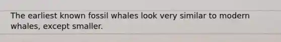The earliest known fossil whales look very similar to modern whales, except smaller.