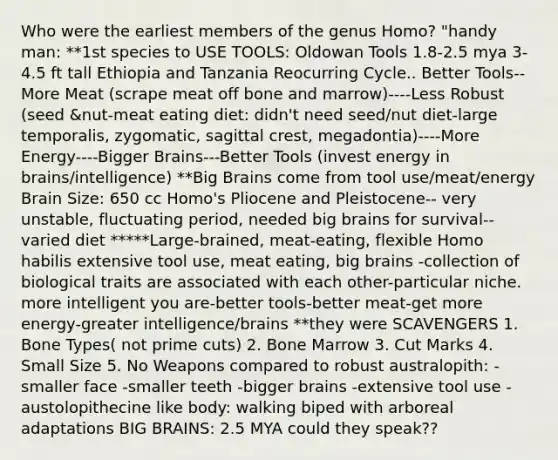 Who were the earliest members of the genus Homo? "handy man: **1st species to USE TOOLS: Oldowan Tools 1.8-2.5 mya 3-4.5 ft tall Ethiopia and Tanzania Reocurring Cycle.. Better Tools--More Meat (scrape meat off bone and marrow)----Less Robust (seed &nut-meat eating diet: didn't need seed/nut diet-large temporalis, zygomatic, sagittal crest, megadontia)----More Energy----Bigger Brains---Better Tools (invest energy in brains/intelligence) **Big Brains come from tool use/meat/energy Brain Size: 650 cc Homo's Pliocene and Pleistocene-- very unstable, fluctuating period, needed big brains for survival--varied diet *****Large-brained, meat-eating, flexible Homo habilis extensive tool use, meat eating, big brains -collection of biological traits are associated with each other-particular niche. more intelligent you are-better tools-better meat-get more energy-greater intelligence/brains **they were SCAVENGERS 1. Bone Types( not prime cuts) 2. Bone Marrow 3. Cut Marks 4. Small Size 5. No Weapons compared to robust australopith: -smaller face -smaller teeth -bigger brains -extensive tool use -austolopithecine like body: walking biped with arboreal adaptations BIG BRAINS: 2.5 MYA could they speak??