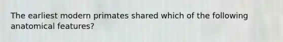 The earliest modern primates shared which of the following anatomical features?
