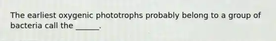 The earliest oxygenic phototrophs probably belong to a group of bacteria call the ______.