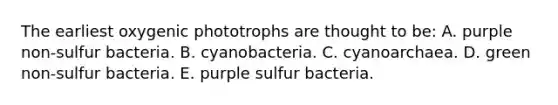 The earliest oxygenic phototrophs are thought to be: A. purple non-sulfur bacteria. B. cyanobacteria. C. cyanoarchaea. D. green non-sulfur bacteria. E. purple sulfur bacteria.