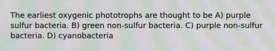 The earliest oxygenic phototrophs are thought to be A) purple sulfur bacteria. B) green non-sulfur bacteria. C) purple non-sulfur bacteria. D) cyanobacteria