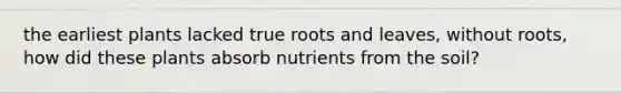 the earliest plants lacked true roots and leaves, without roots, how did these plants absorb nutrients from the soil?