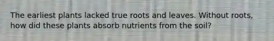 The earliest plants lacked true roots and leaves. Without roots, how did these plants absorb nutrients from the soil?