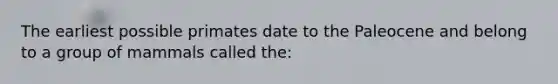 The earliest possible primates date to the Paleocene and belong to a group of mammals called the: