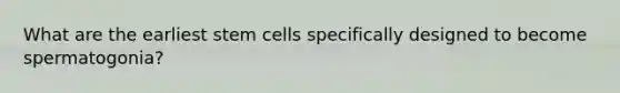 What are the earliest stem cells specifically designed to become spermatogonia?