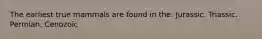 The earliest true mammals are found in the: Jurassic. Triassic. Permian. Cenozoic